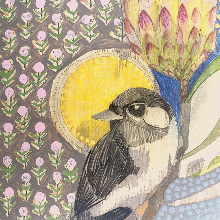 mini | willie wagtail and protea | print