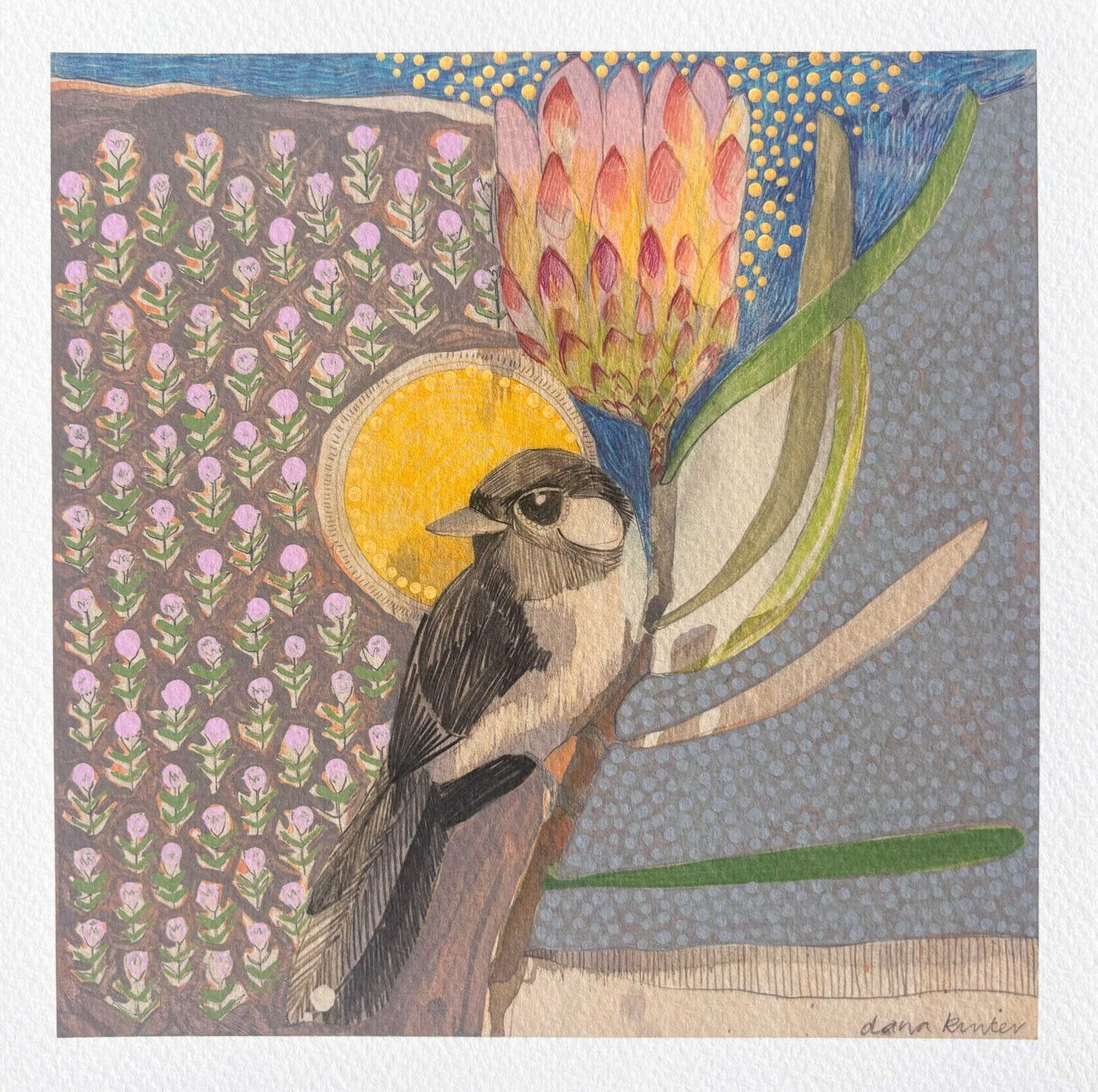 Willie Wagtail and Protea - mini print
