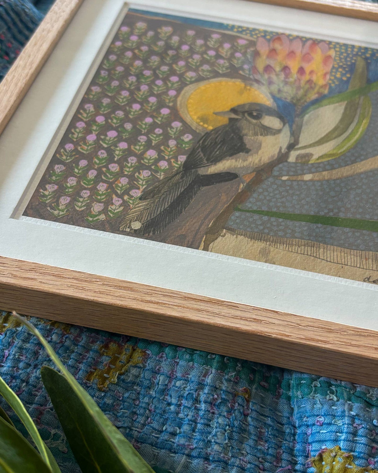 Willie wagtail and protea framed - mini print - pick up only