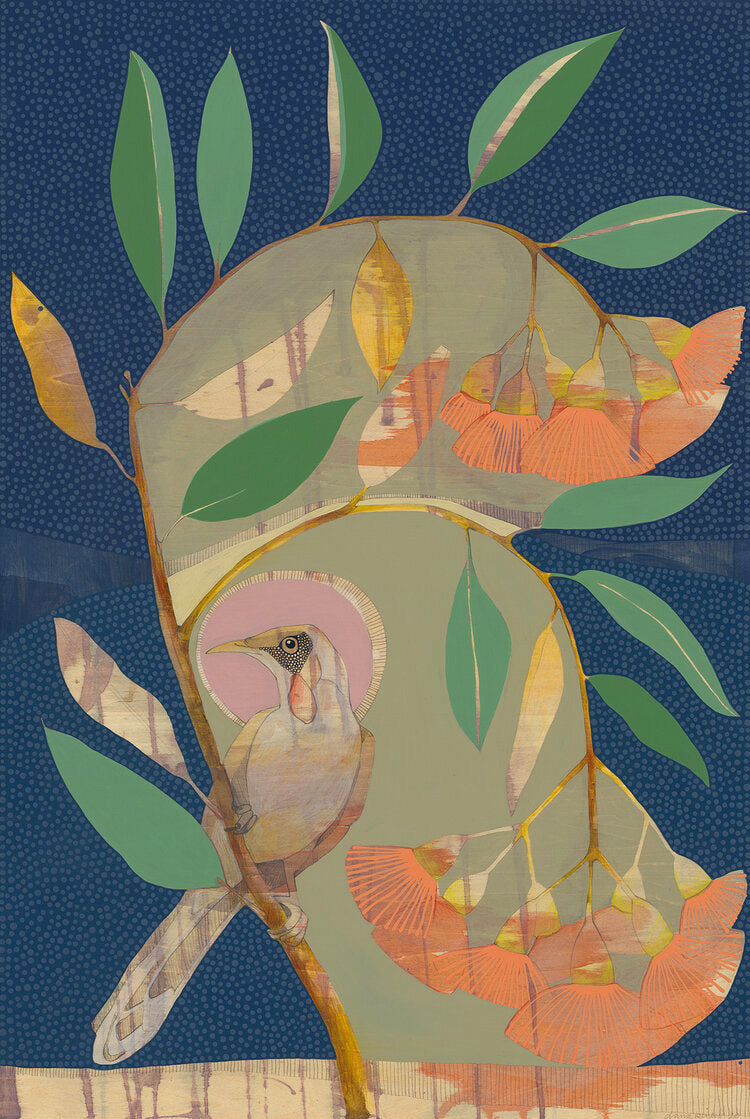 falling slowly | red wattle bird and flowering eucalyptus | print