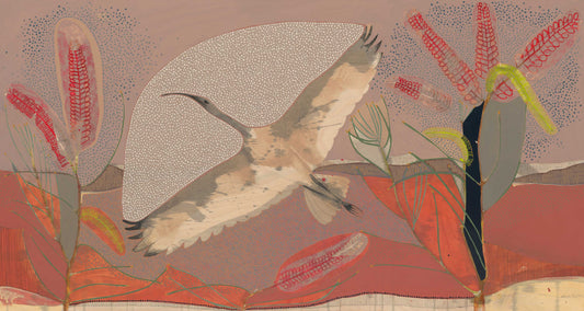 sails on the heart of the wind, sacred ibis and red poker hakea - edition print