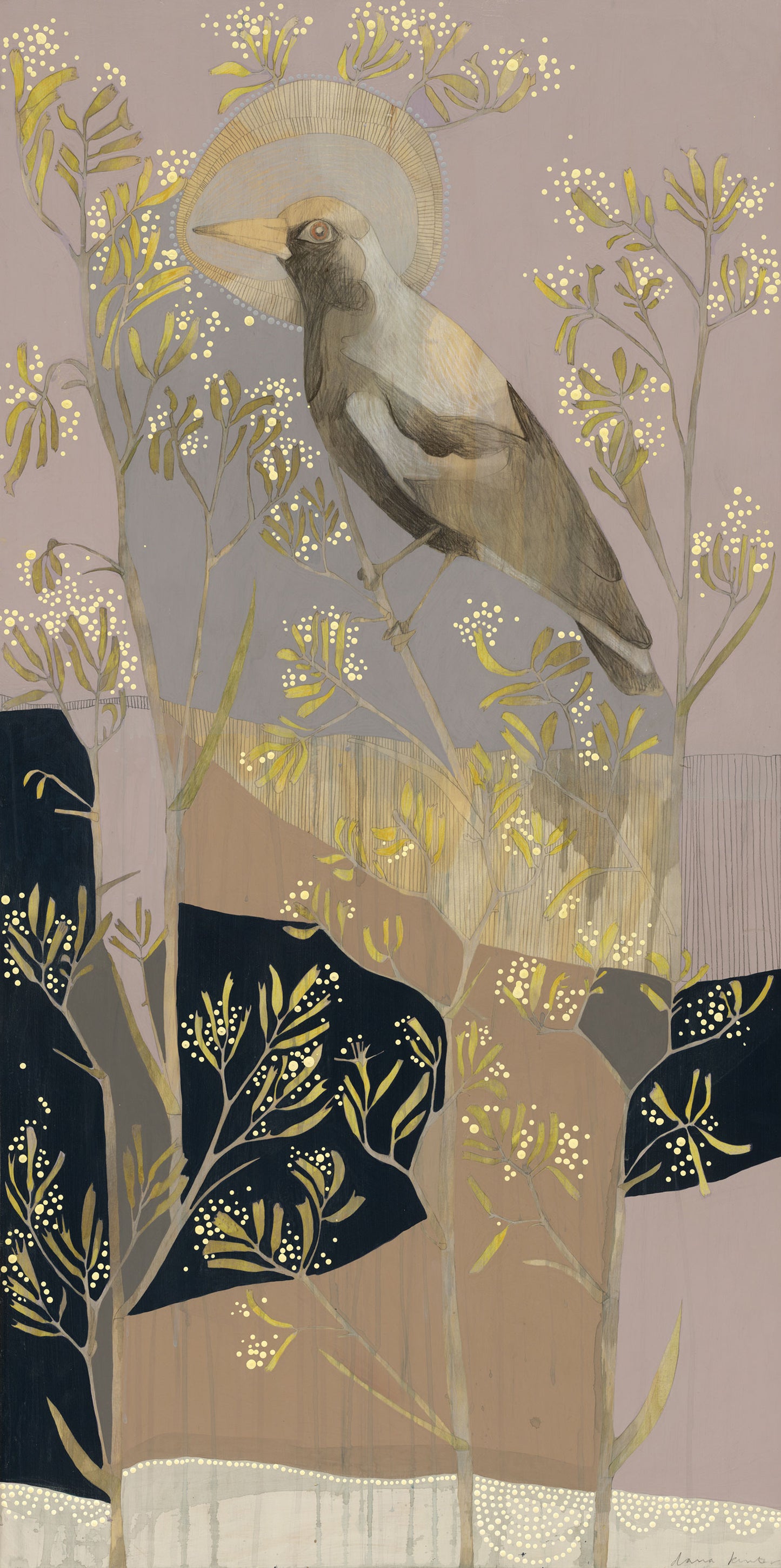 seasons | winter - magpie and yellow kangaroo paw | print