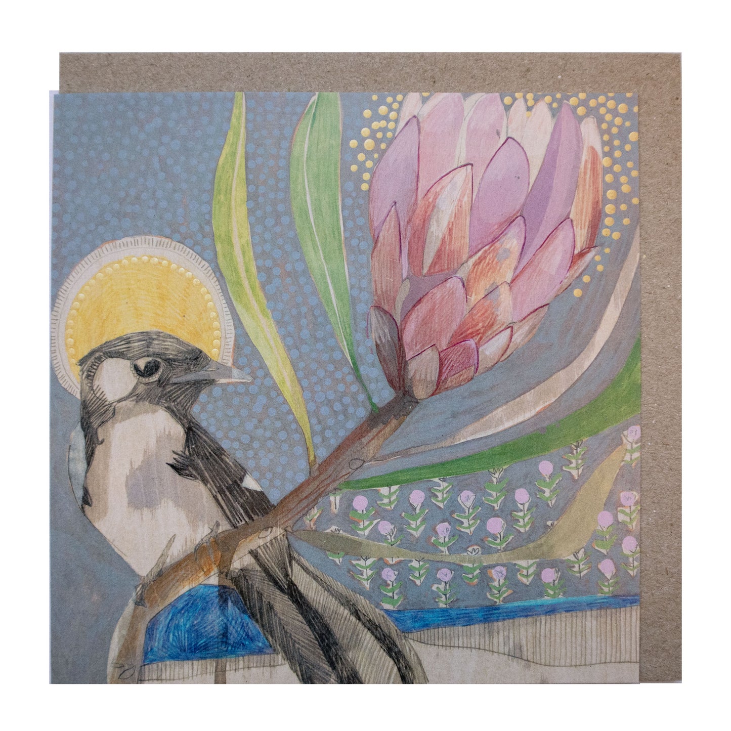 willie wagtail and protea - card