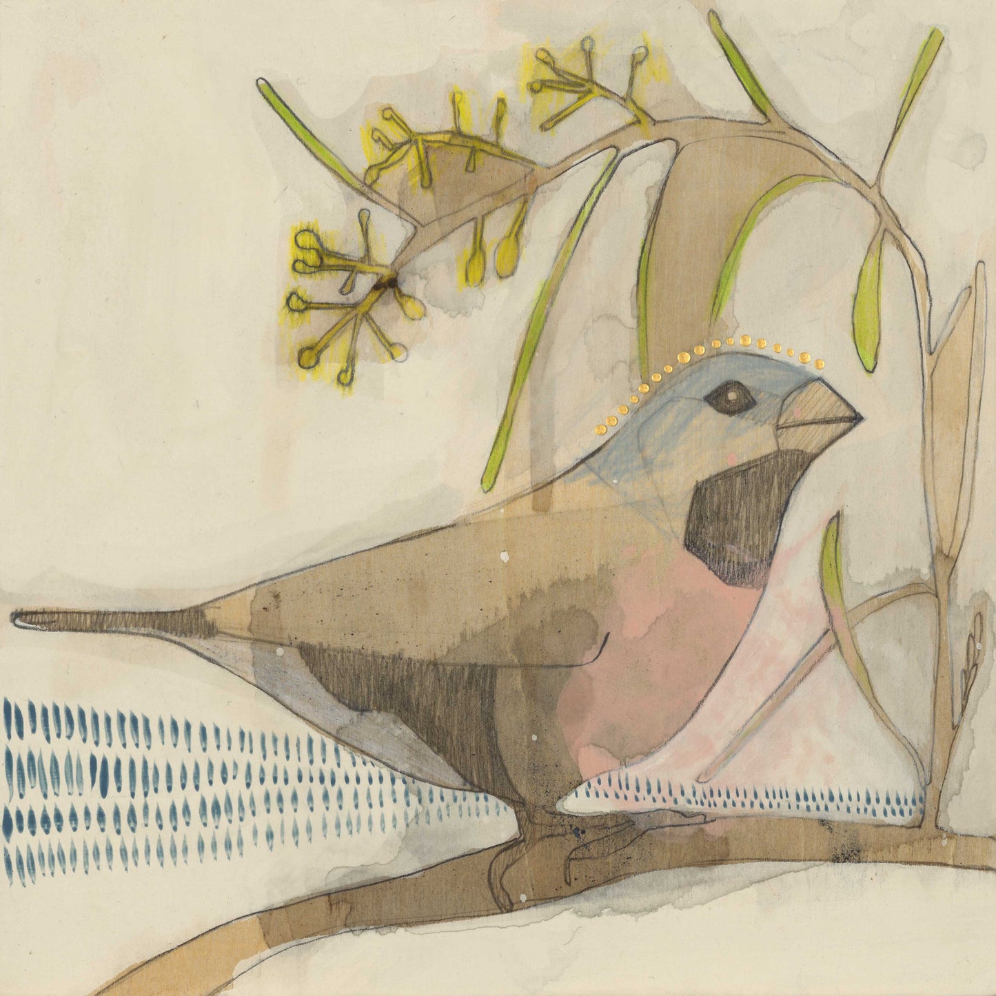 black-throated finch and acacia - mini print