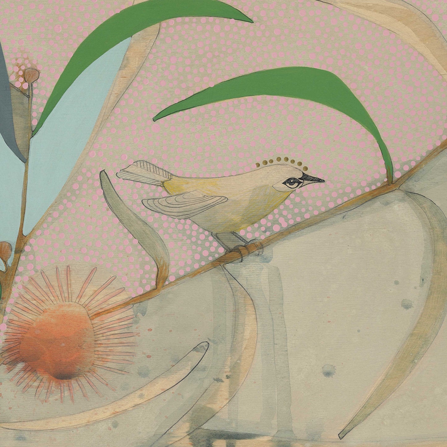 little silvereyes and hakea - edition print