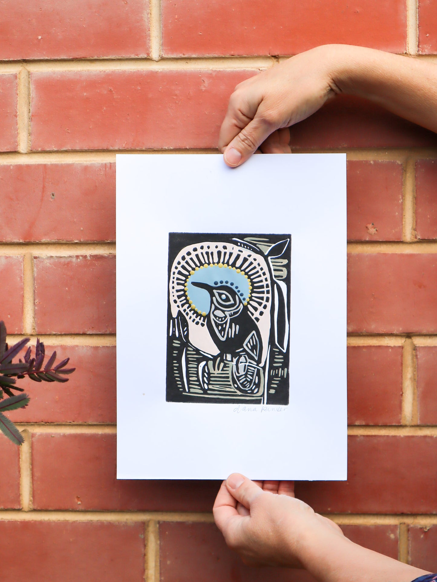 COMING SOON Eastern Spinebill Linocut 5