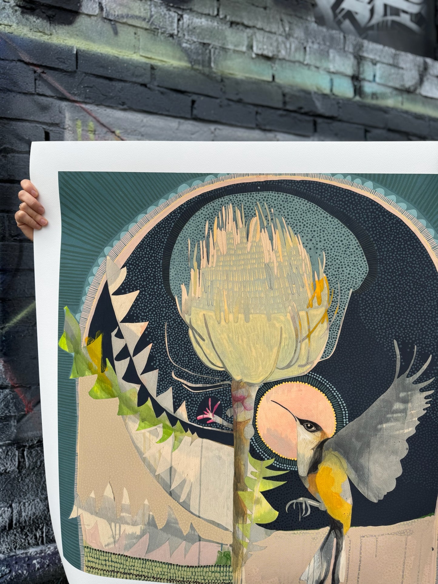 For You a Thousand Times Over, Eastern Spinebill and Banksia - Edition Print