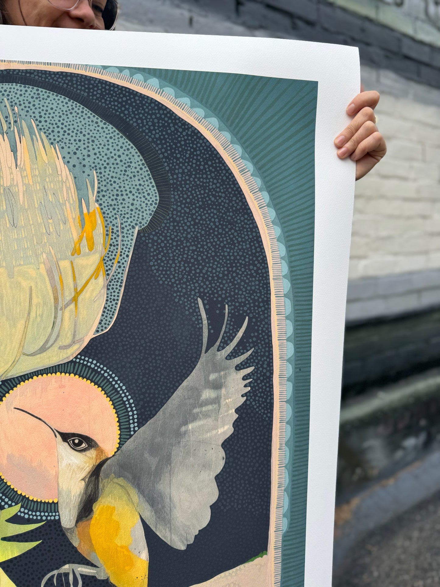 For You a Thousand Times Over, Eastern Spinebill and Banksia - Edition Print