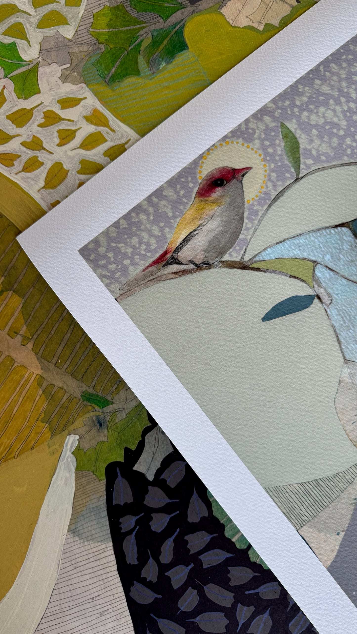 Red Backed Finch and Blue Gum (i) - Edition Print