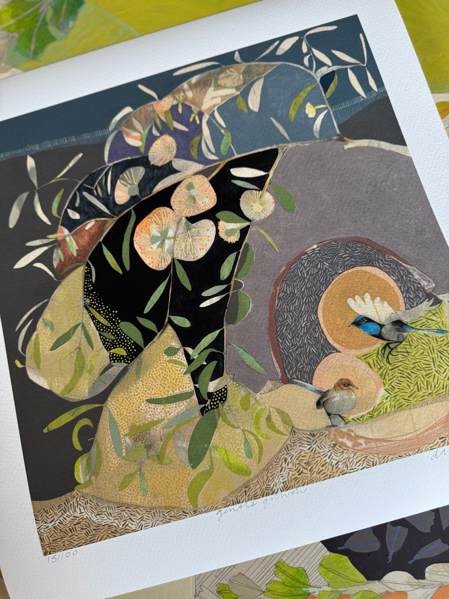 Gentle Growth, Blue Wren and Eucalyptus - Edition Print
