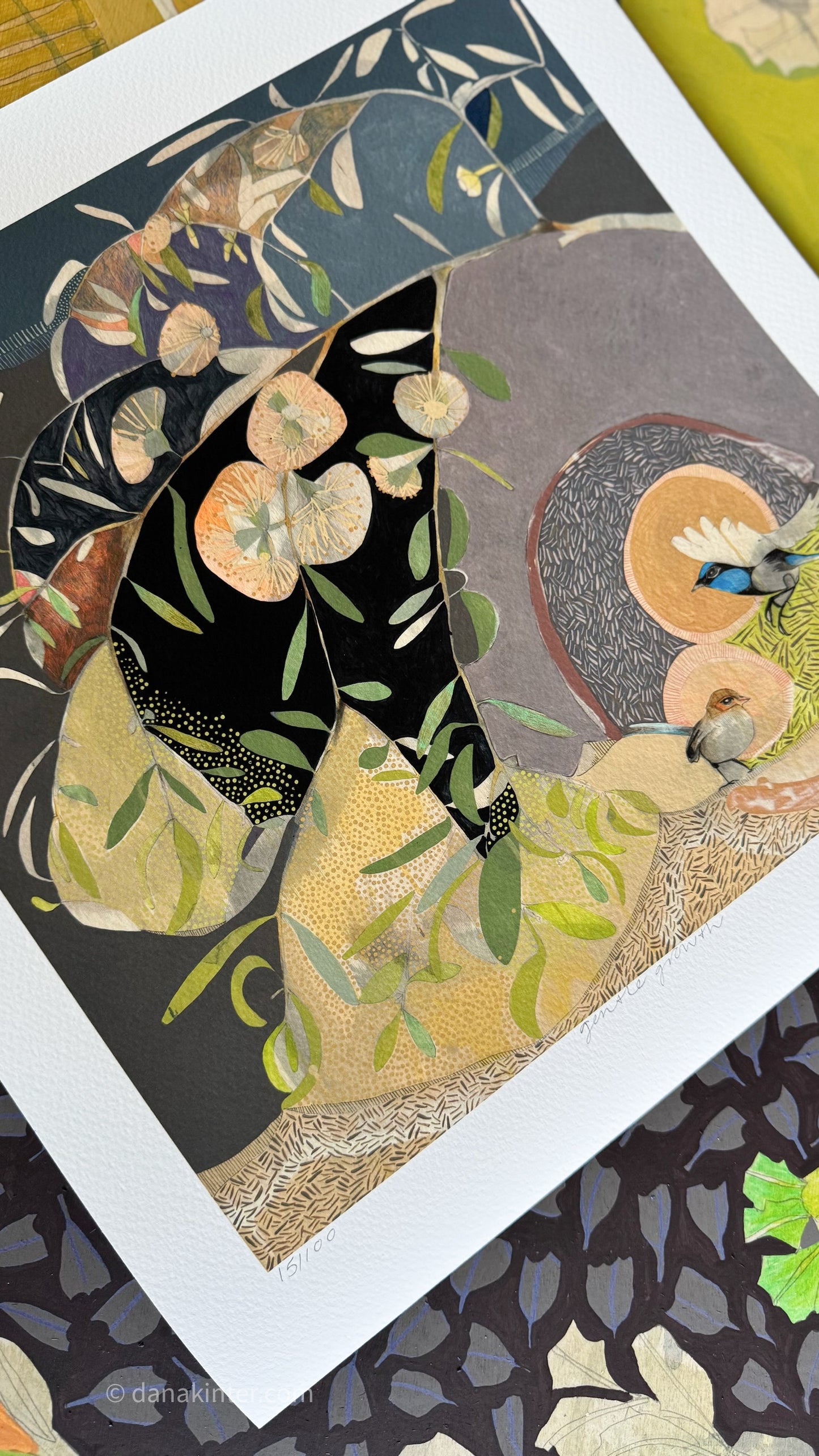 Gentle Growth, Blue Wren and Eucalyptus - Edition Print