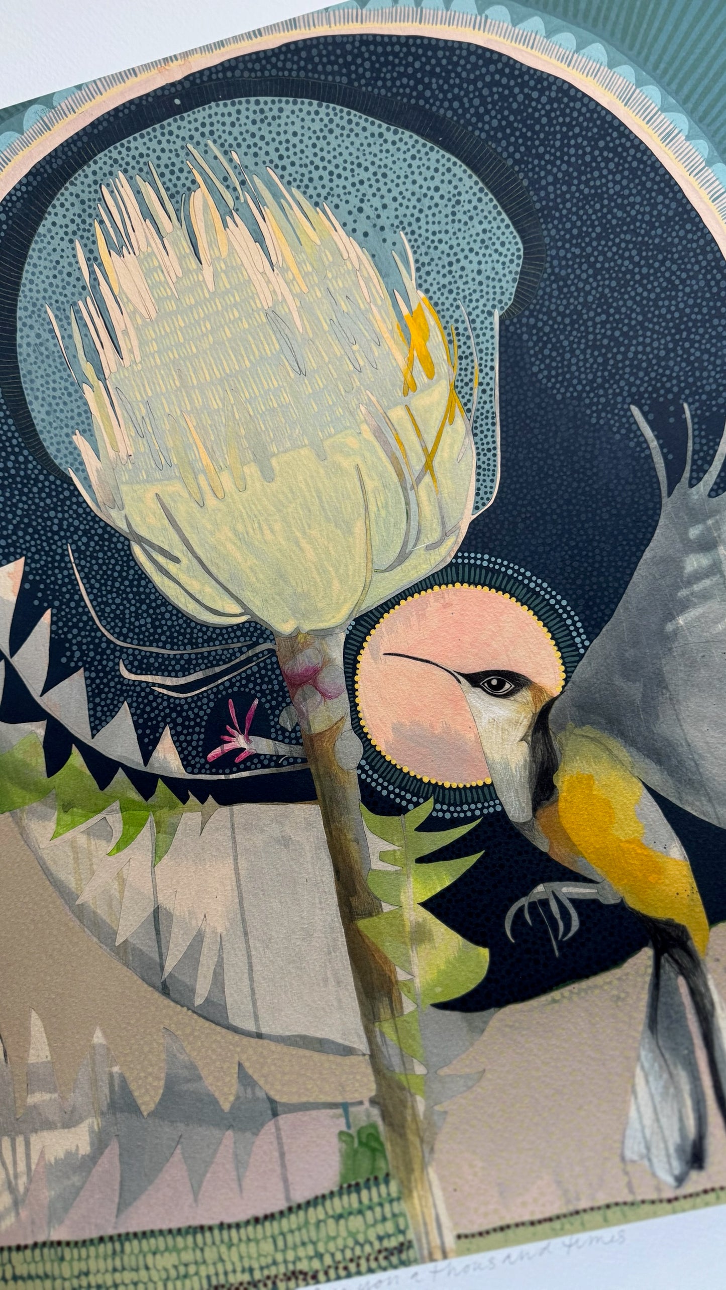 For You a Thousand Times Over, Eastern Spinebill and Banksia - Edition Print