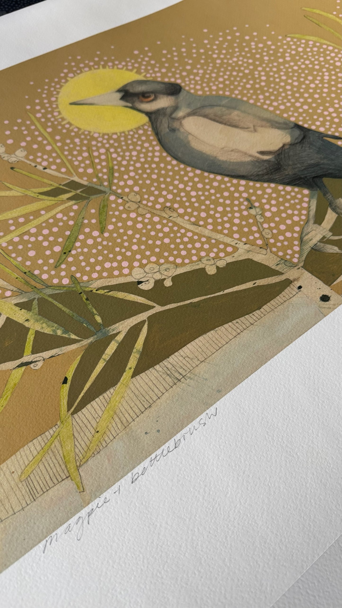 Magpie and Bottlebrush - Edition Print