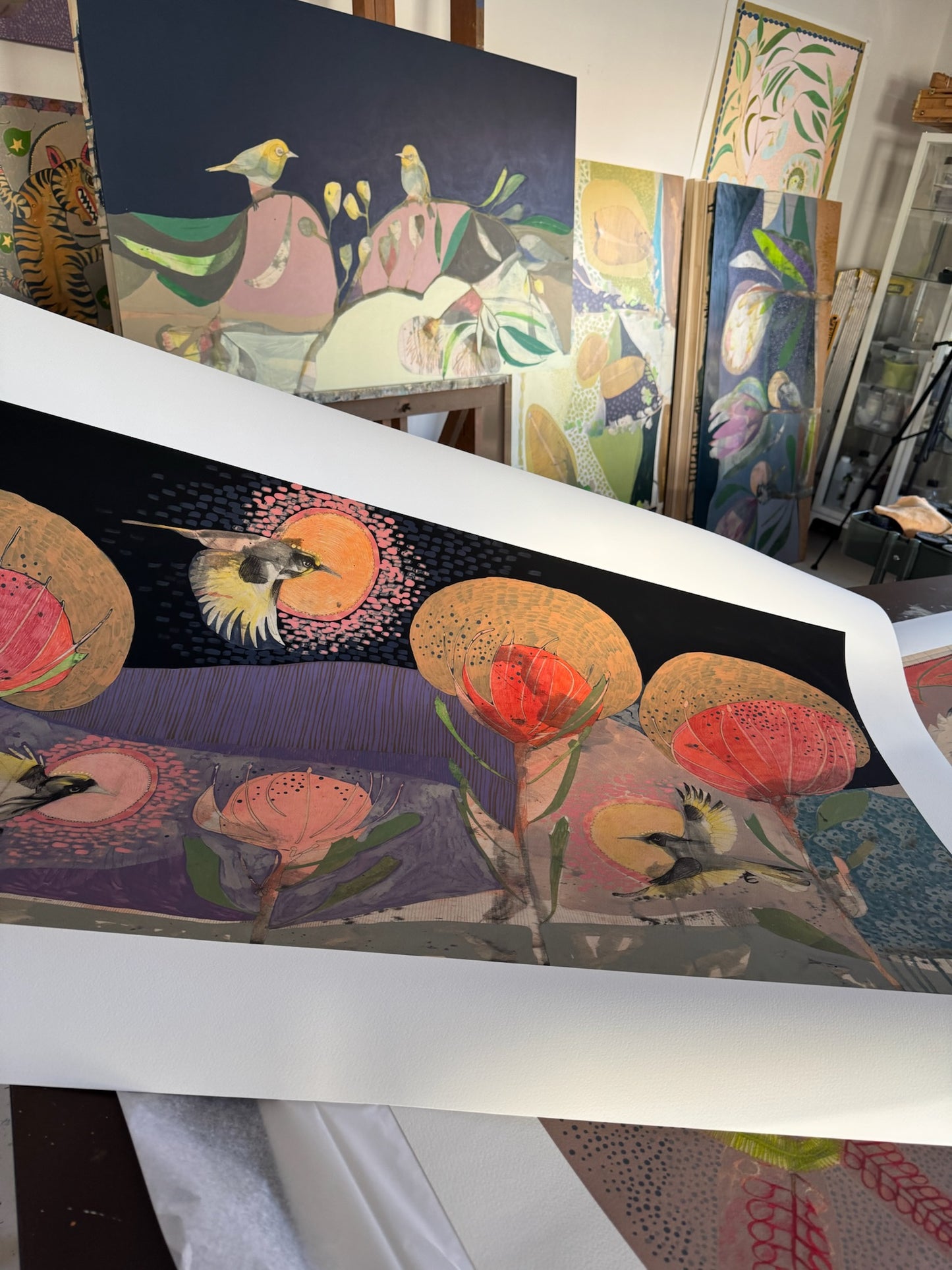 The Fluttering of Birds, New Holland Honeyeater and Pincushion - Edition Print