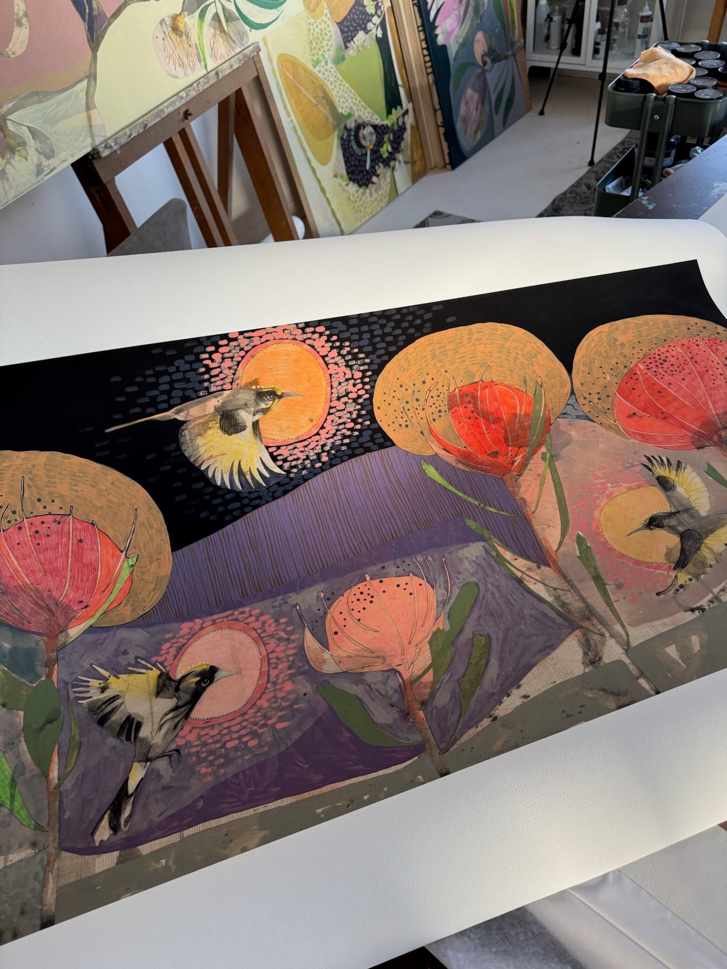 The Fluttering of Birds, New Holland Honeyeater and Pincushion - Edition Print