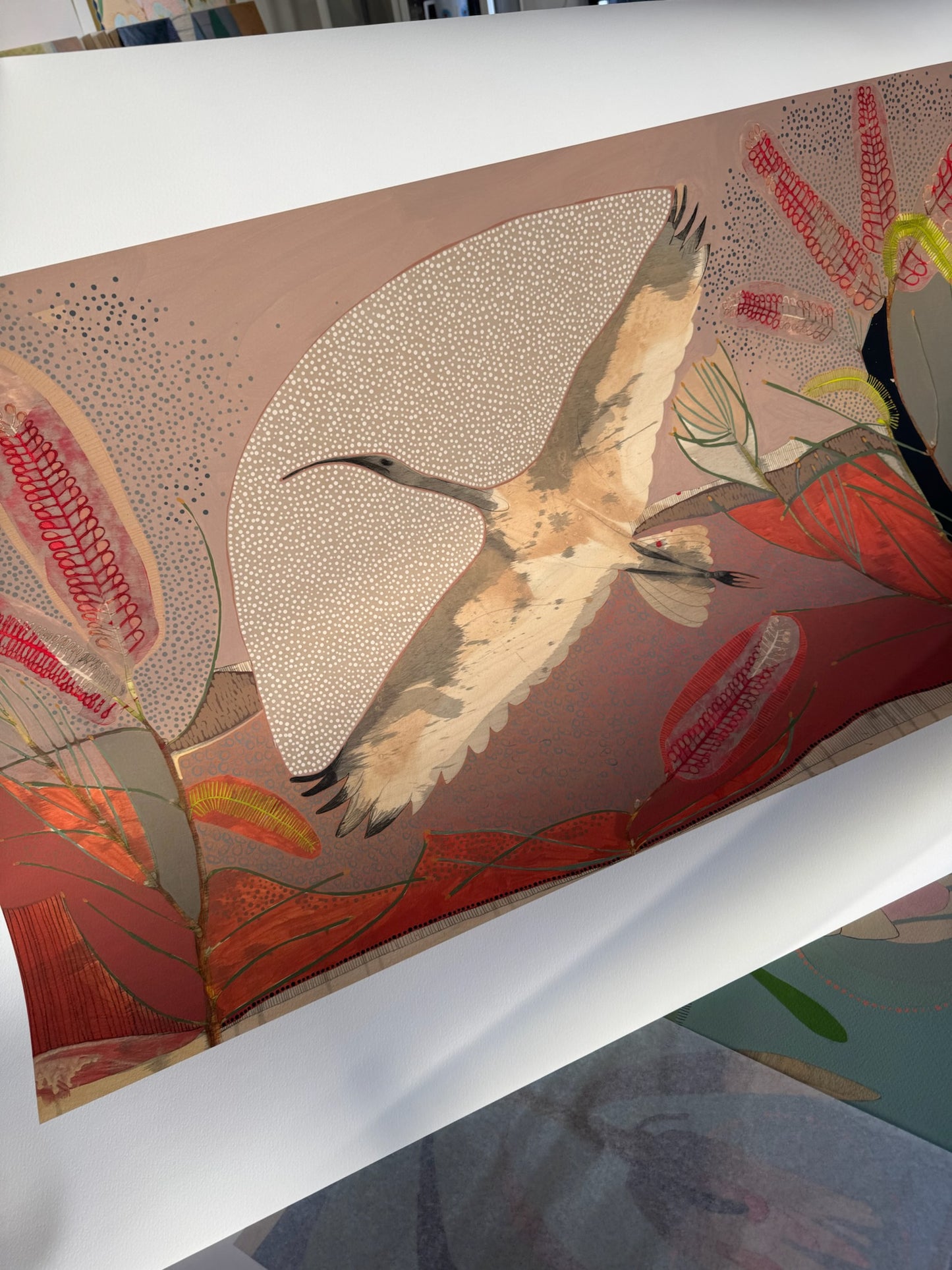 Sails on the Heart of the Wind, Sacred Ibis and Red Poker Hakea - Edition Print