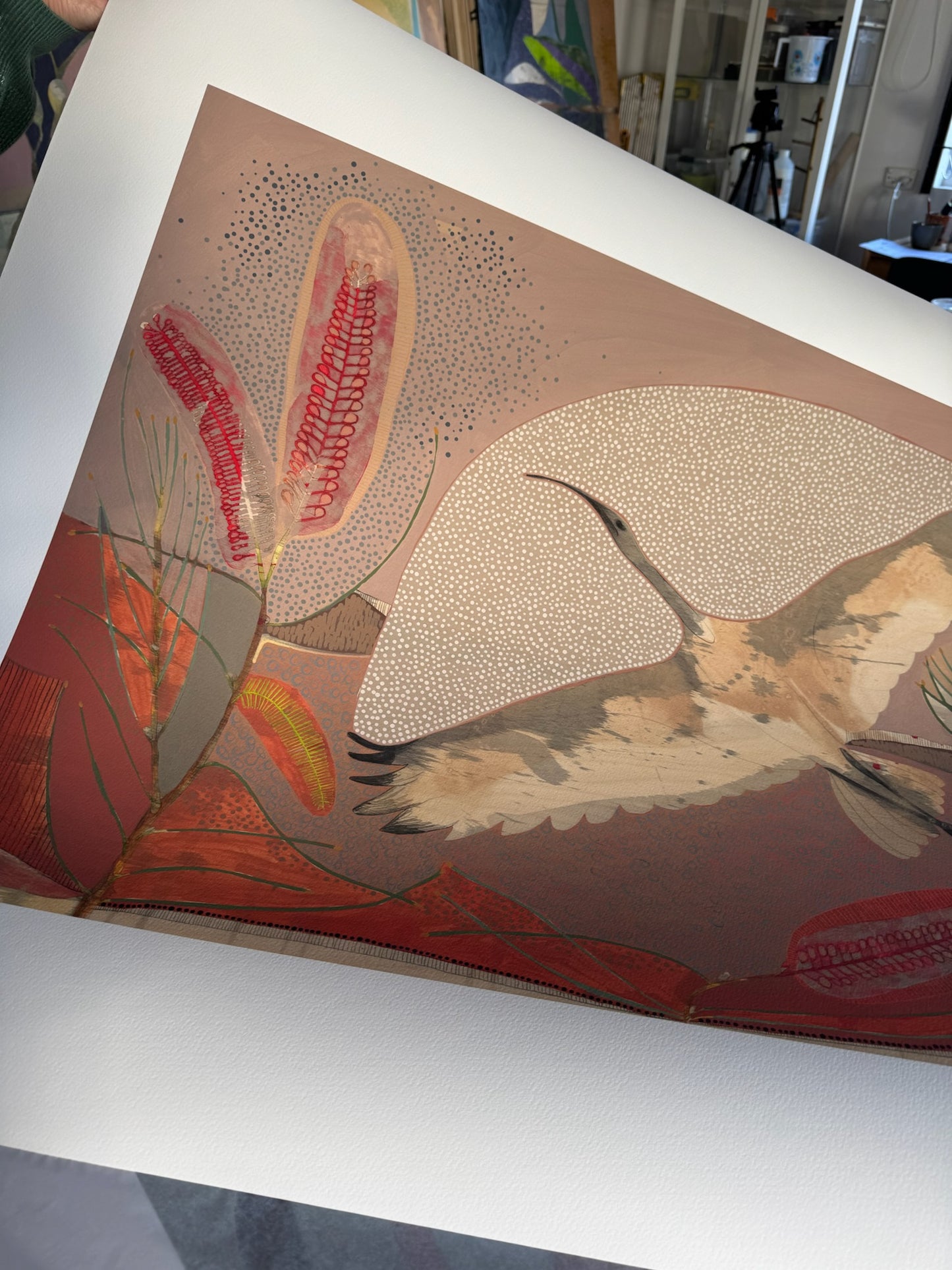 Sails on the Heart of the Wind, Sacred Ibis and Red Poker Hakea - Edition Print
