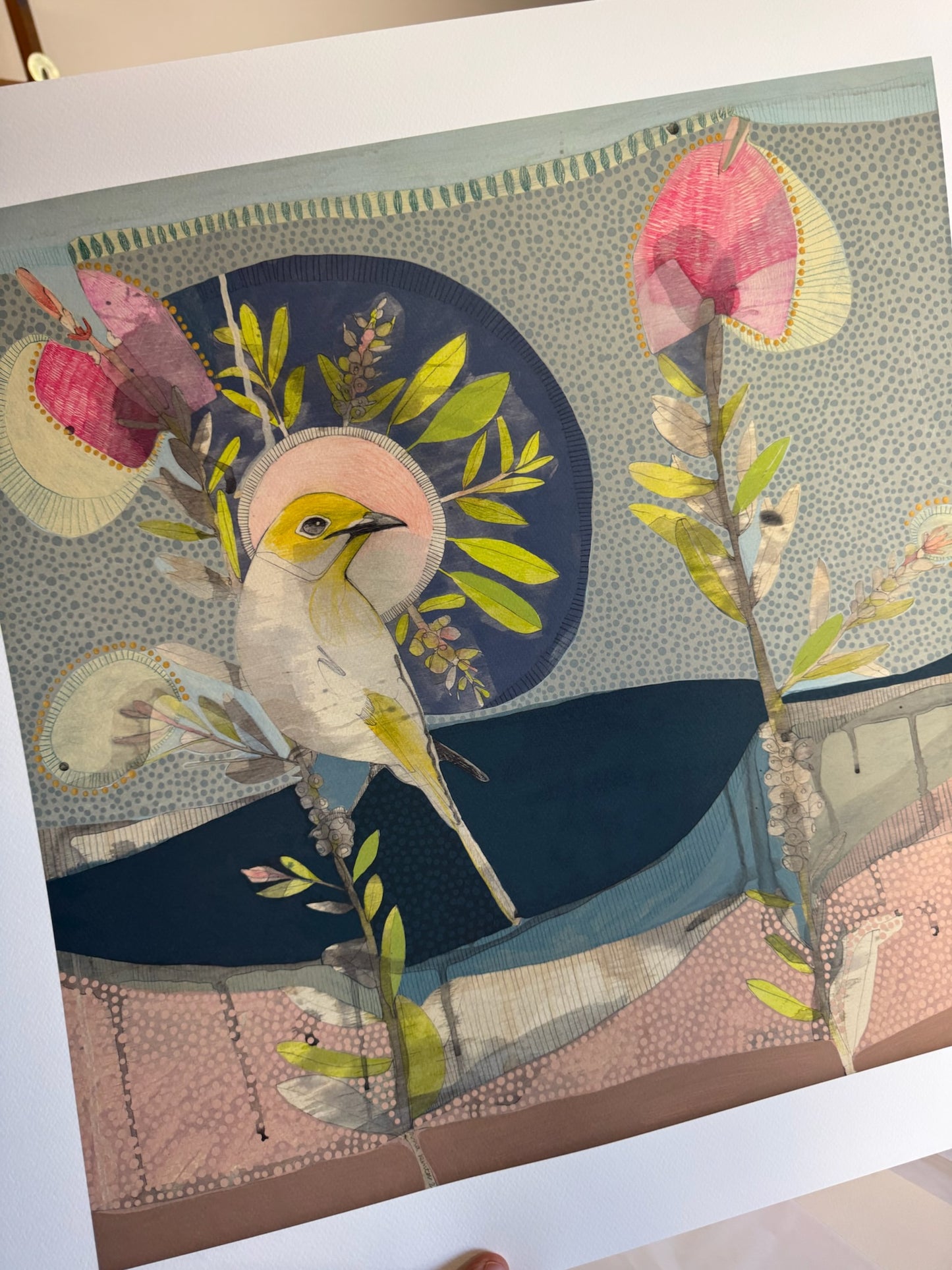 May Love Find You, White Plumed Honeyeater and Hot Pink Callistemon - Edition Print