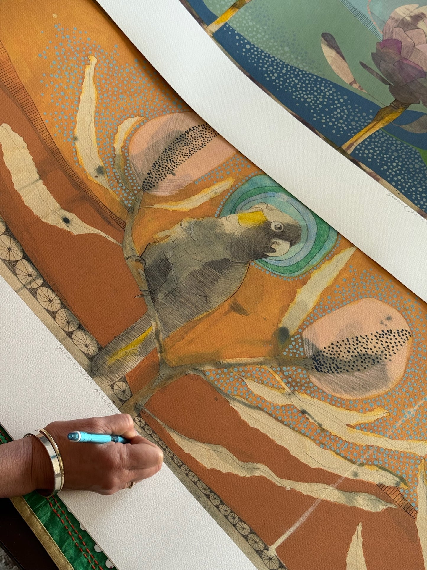 Yellow-Tailed Black Cockatoo and Banksia - Edition Print