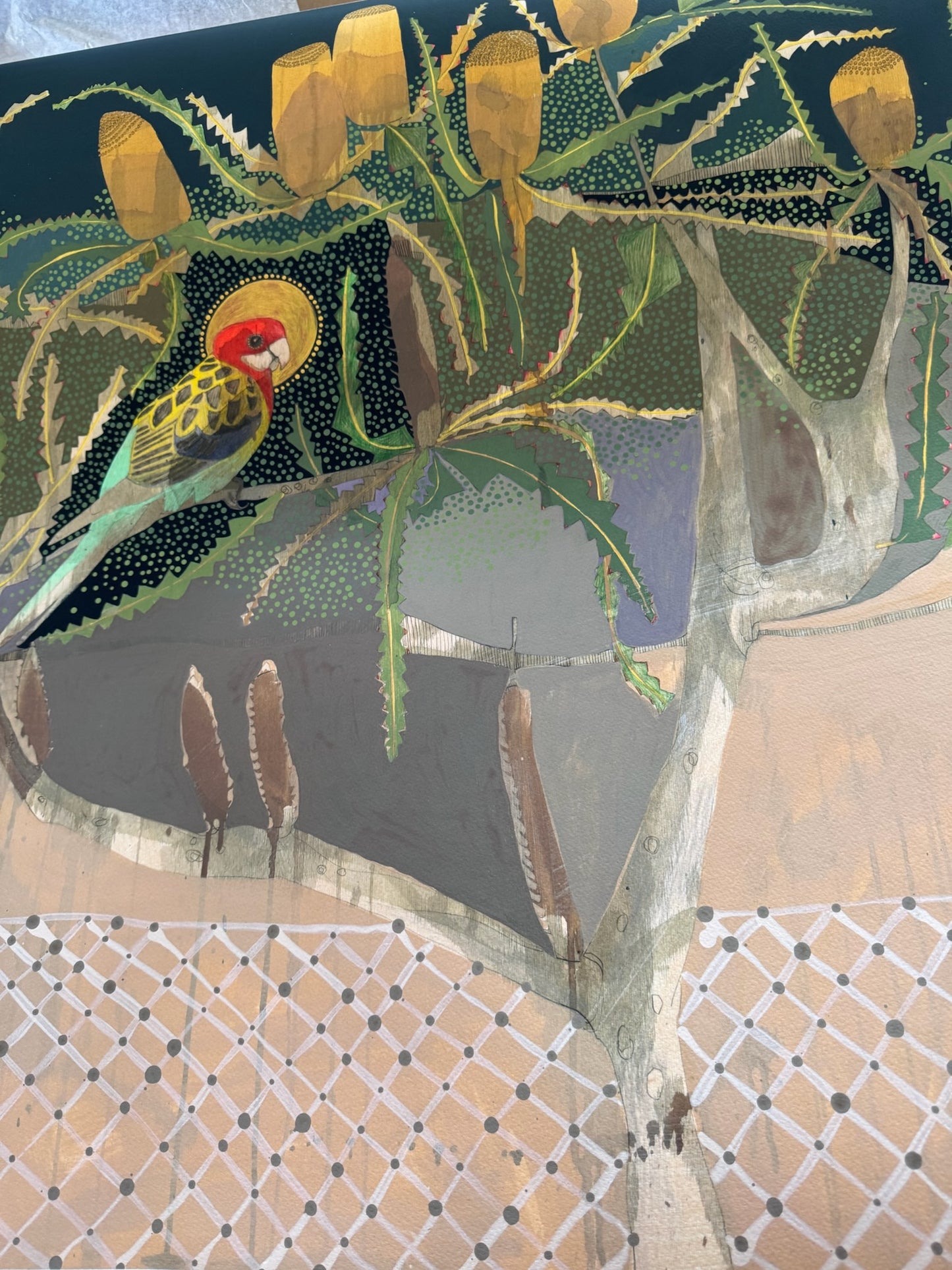 Drifting Away Down Palmer Street, Eastern Rosella and Orange Banksia - Edition Print