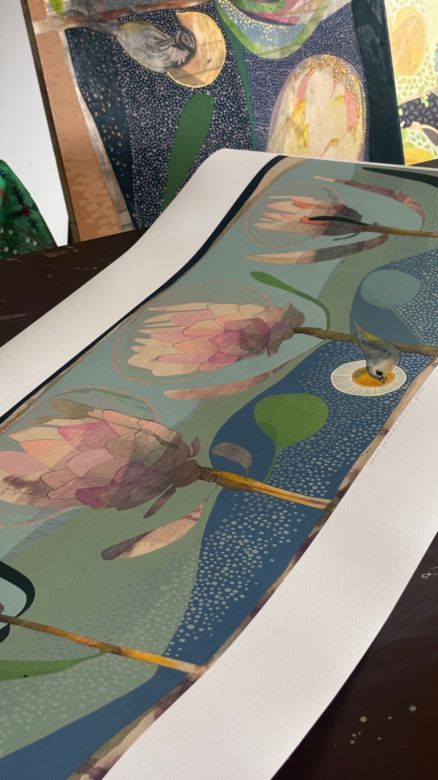 Spotted Pardalote and King Protea - Edition Print