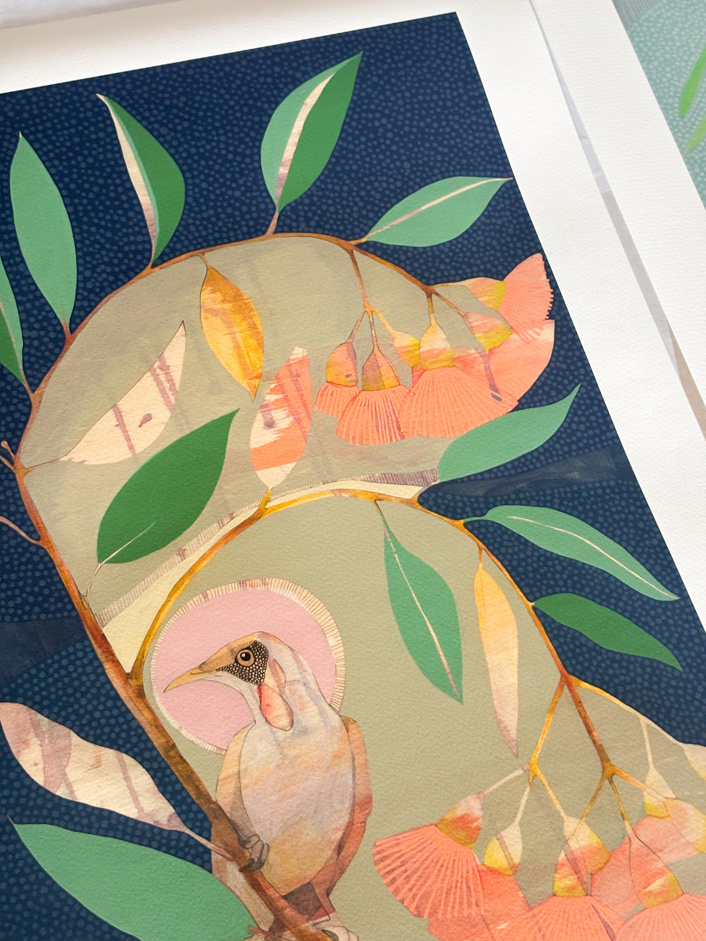 Falling Slowly, Red Wattle Bird and Flowering Eucalyptus - Edition Print