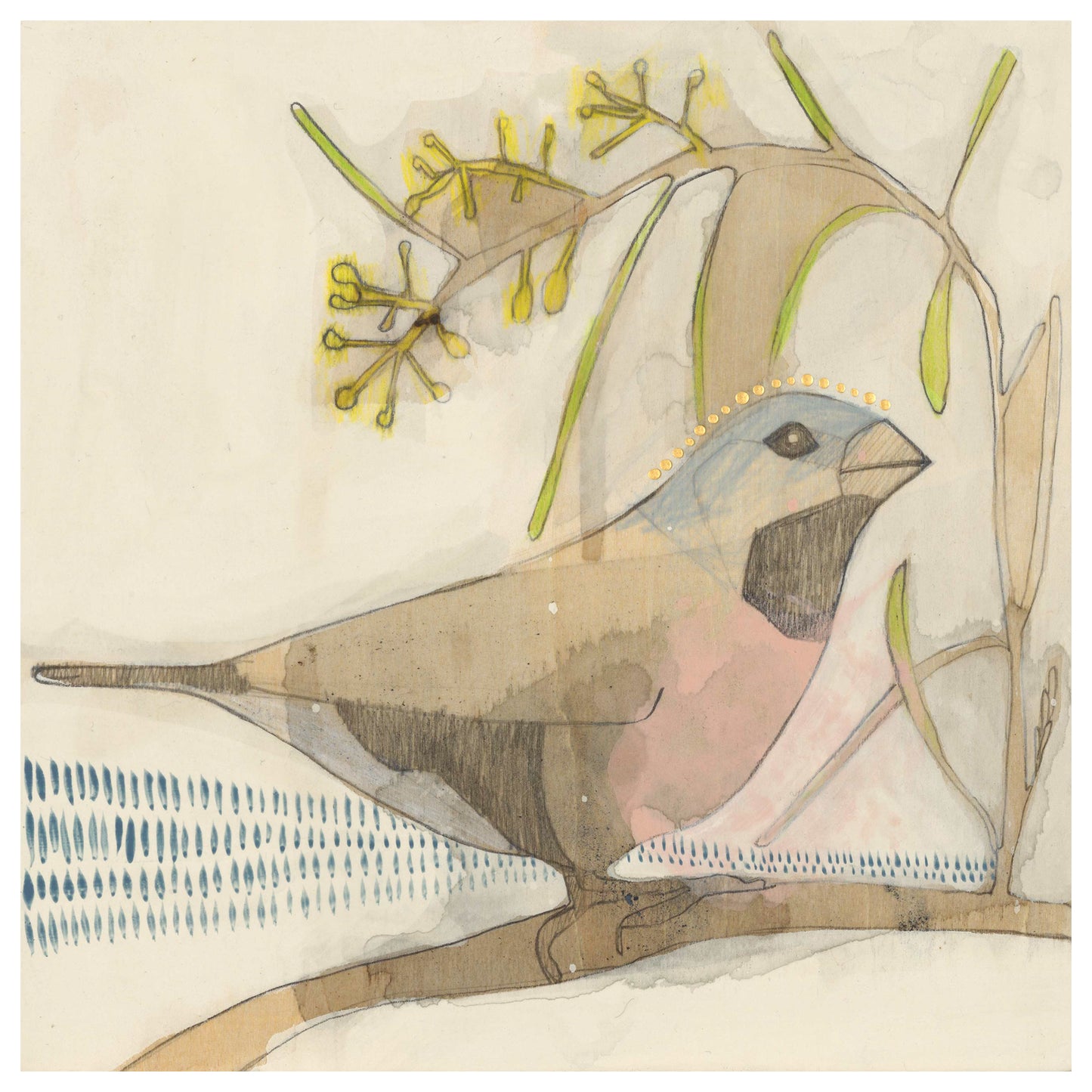 black-throated finch and acacia - mini print