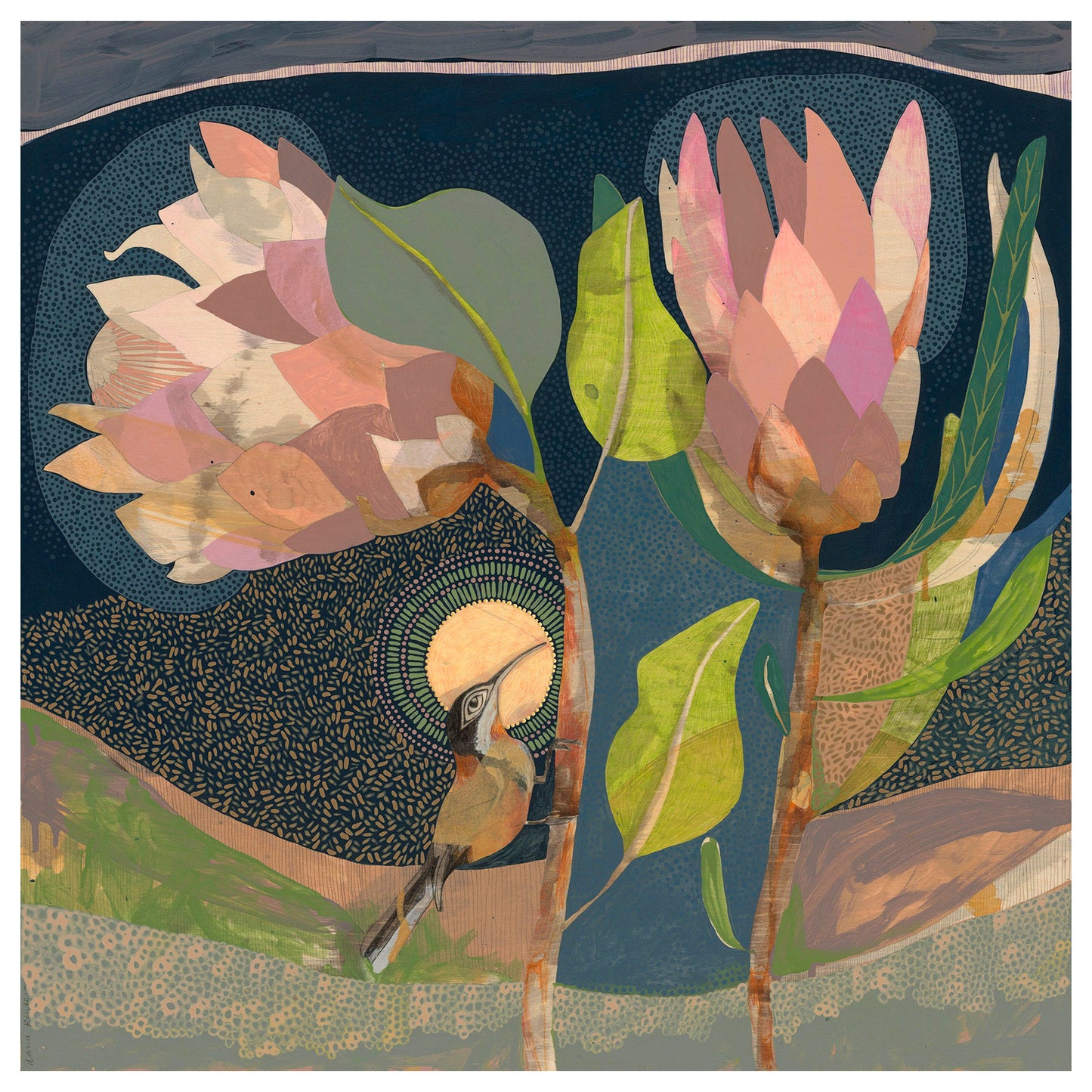 i let love in, eastern spinebill and proteas - edition print