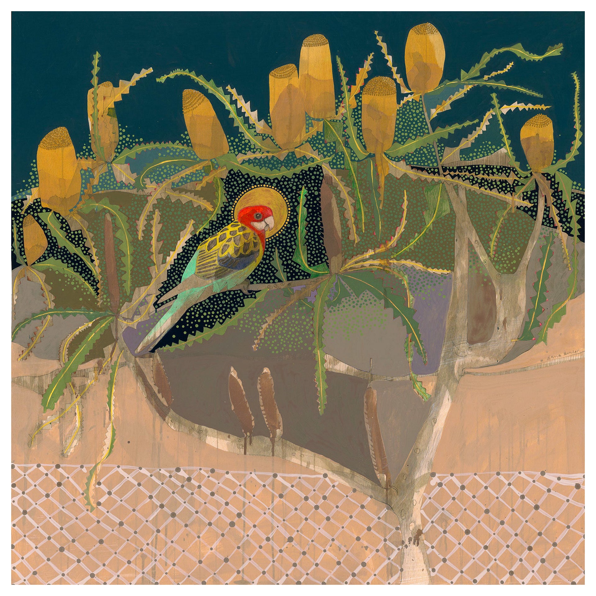 Drifting Away Down Palmer Street, Eastern Rosella and Orange Banksia - Edition Print