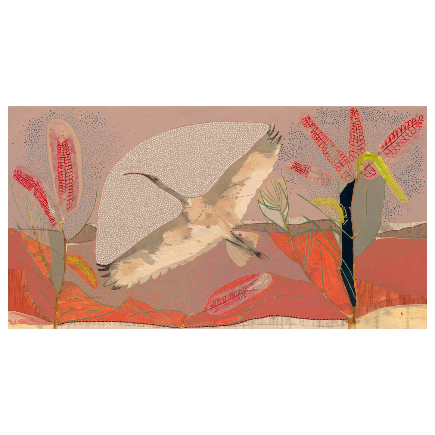 sails on the heart of the wind, sacred ibis and red poker hakea - edition print