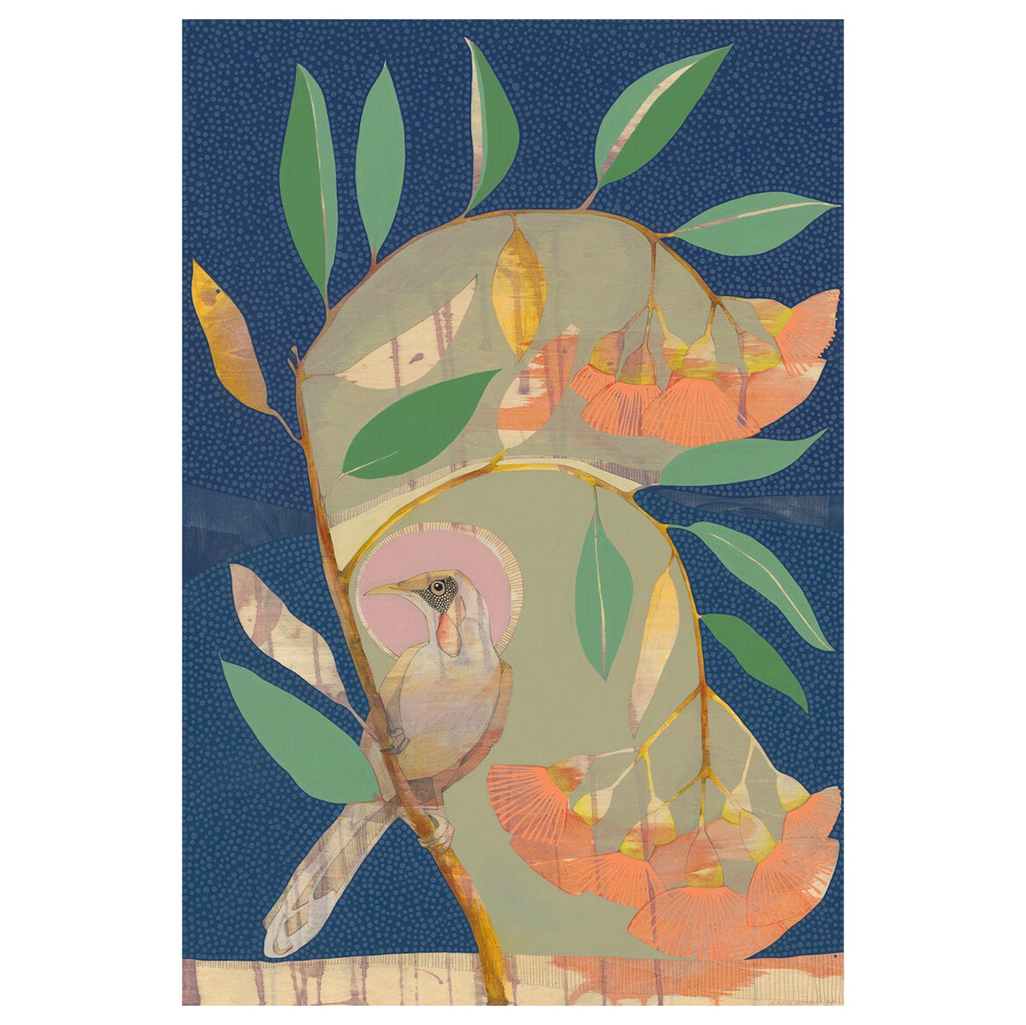 falling slowly | red wattle bird and flowering eucalyptus - edition print