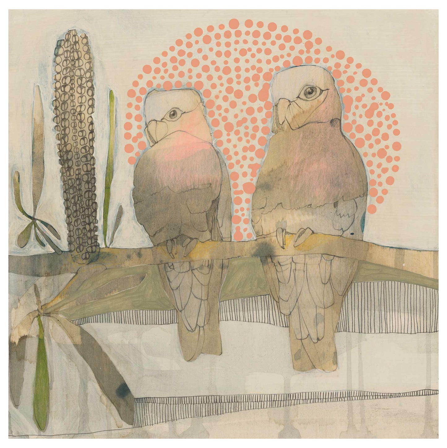 two galahs and banksia - edition print