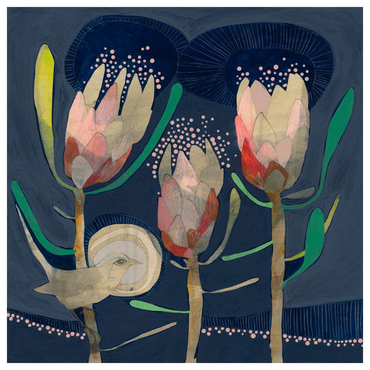 blue wren and protea - edition print