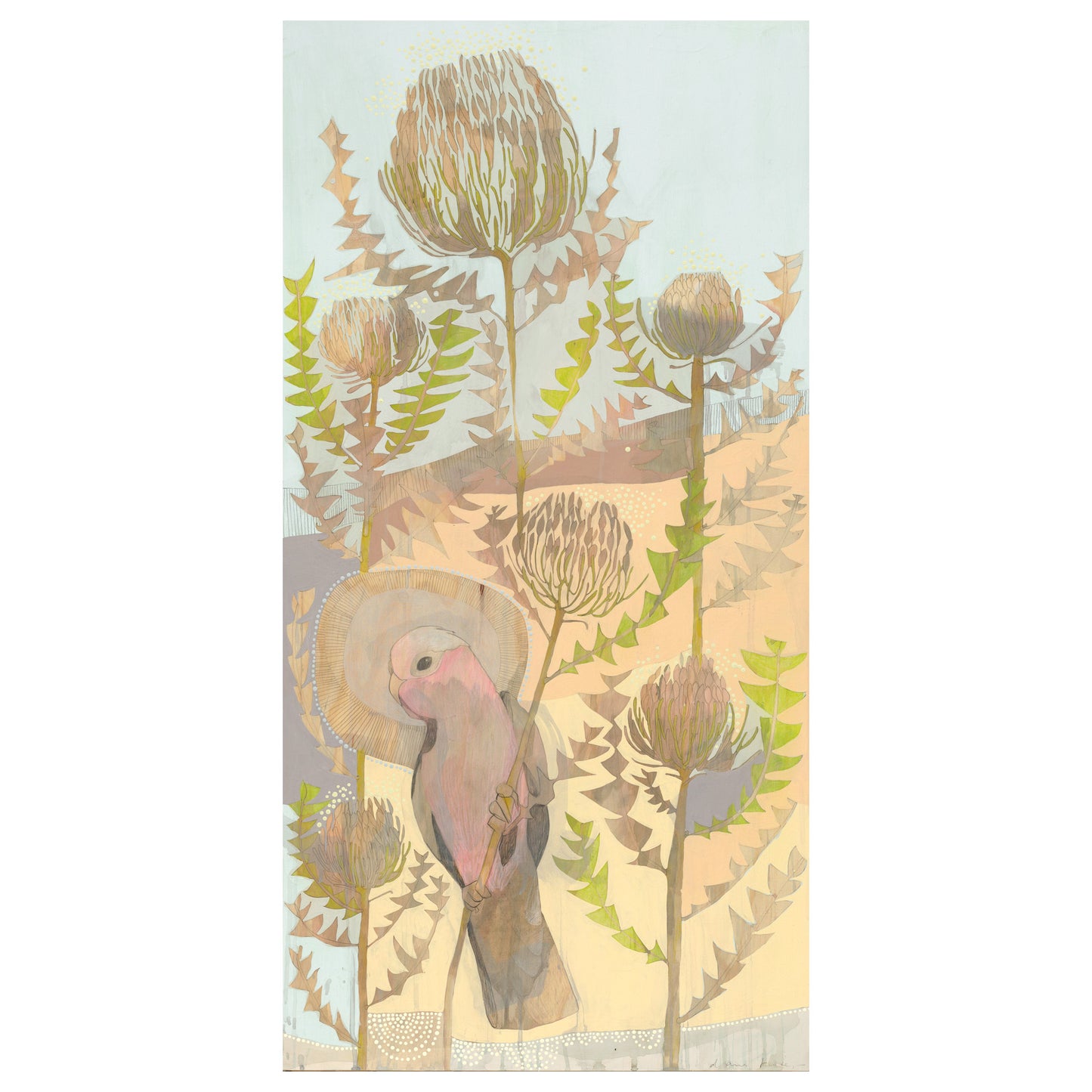 summer, galah and banksia baxteri - edition print