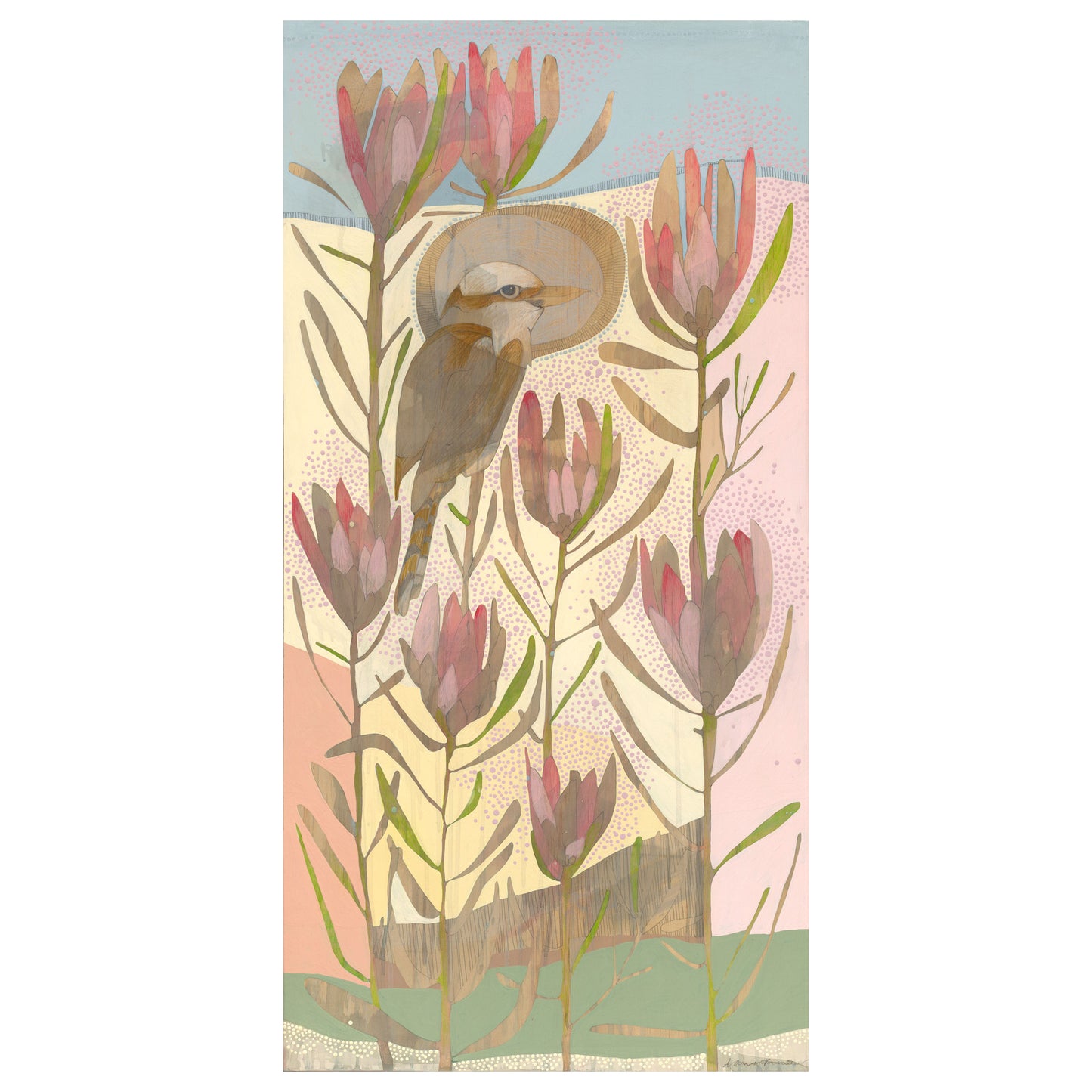 spring, laughing kookaburra and protea repens - edition print