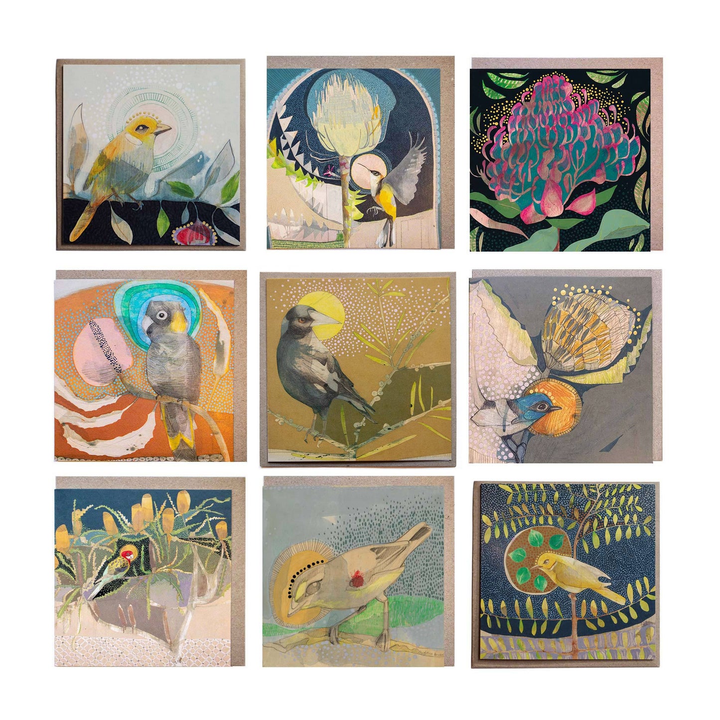 Collectors Card Bundles of 9 Cards ~ Protea or Banksia