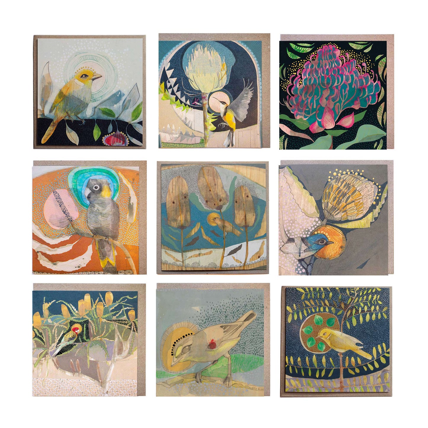 Collectors Card Bundles of 9 Cards ~ Protea or Banksia