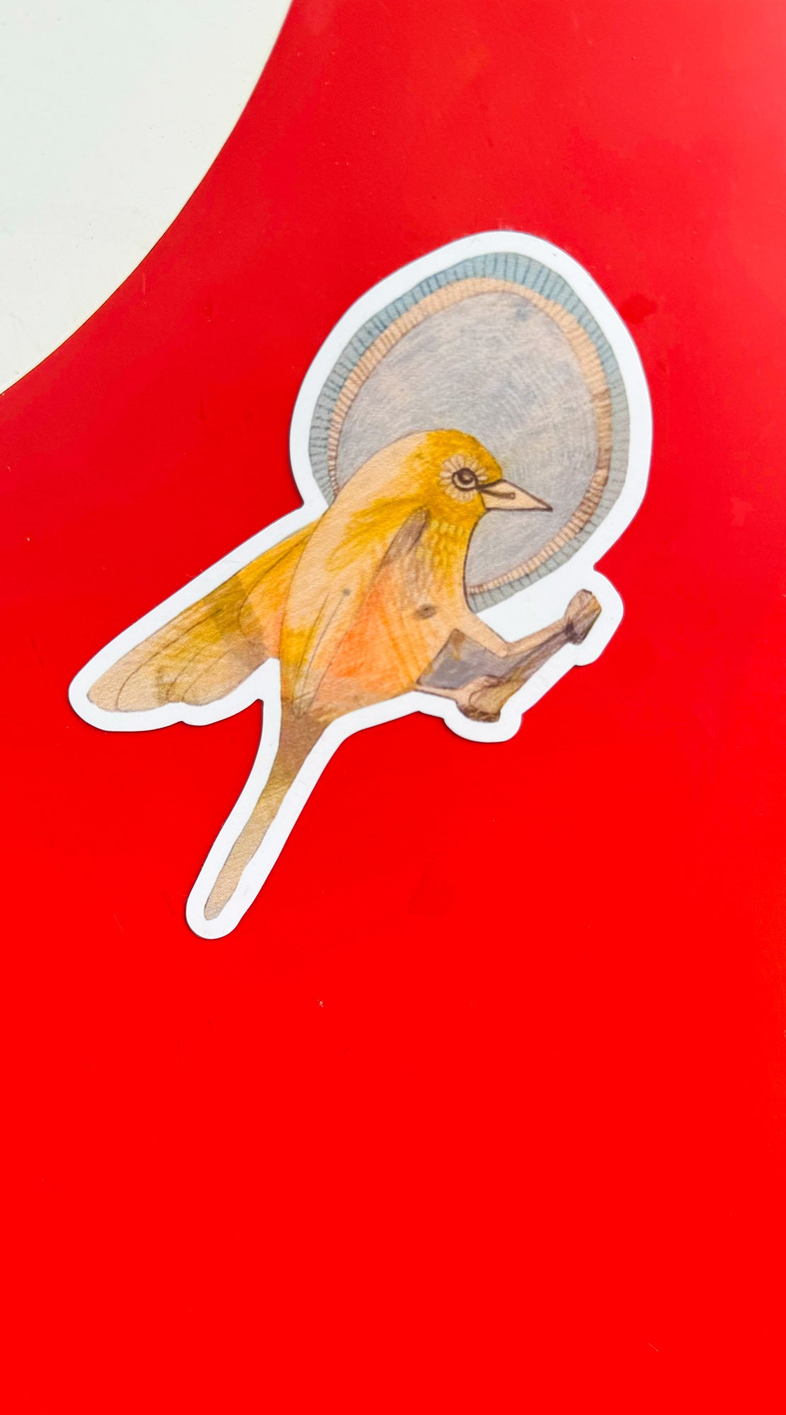 silvereyes magnet set of 3