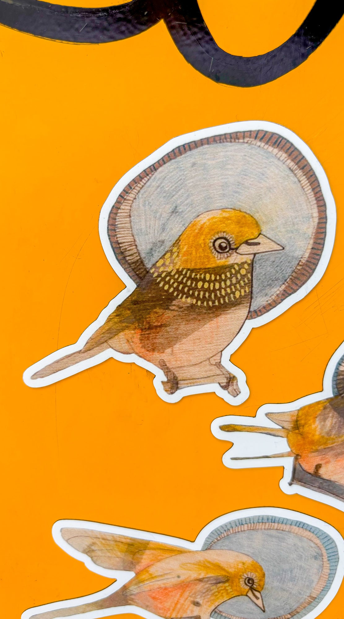 silvereyes magnet set of 3