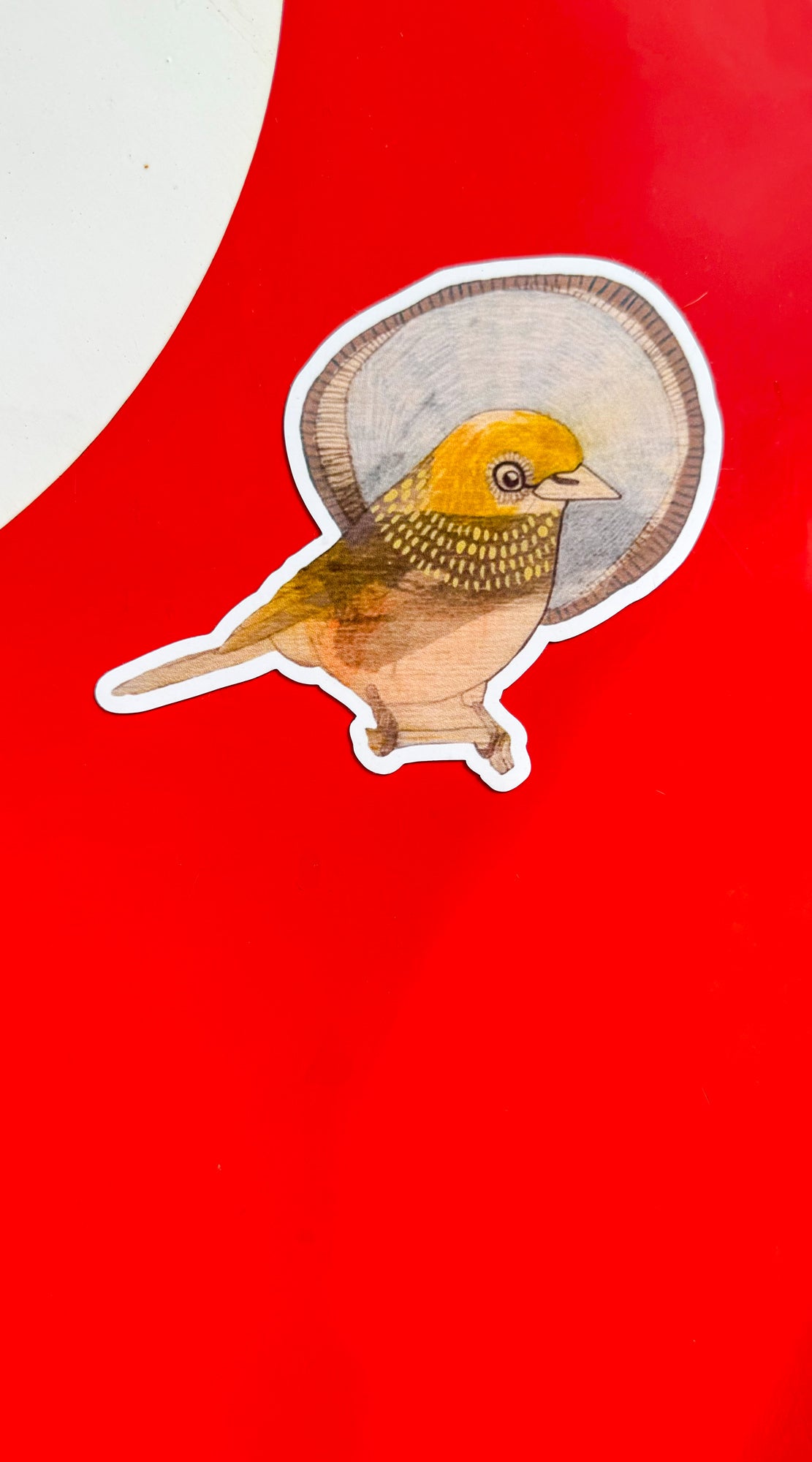 silvereyes magnet set of 3