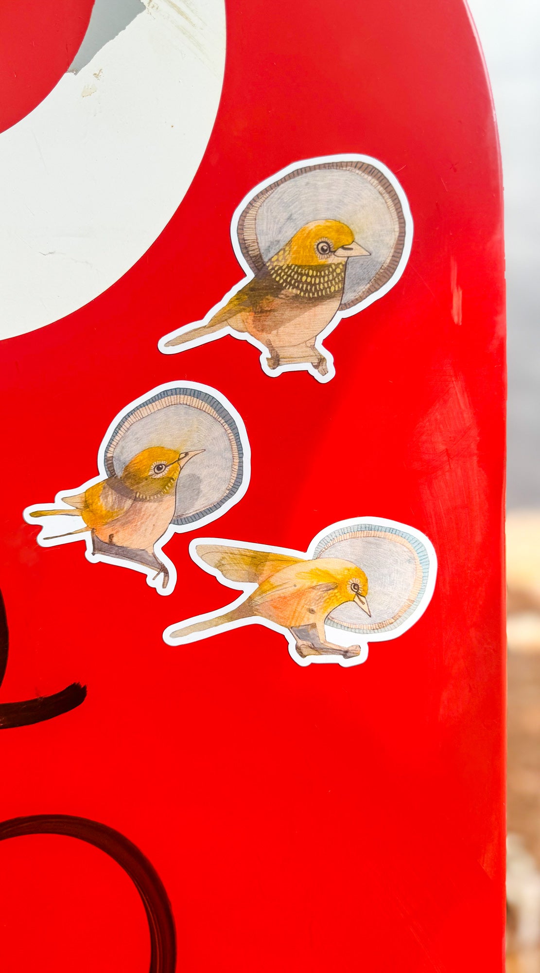 silvereyes magnet set of 3