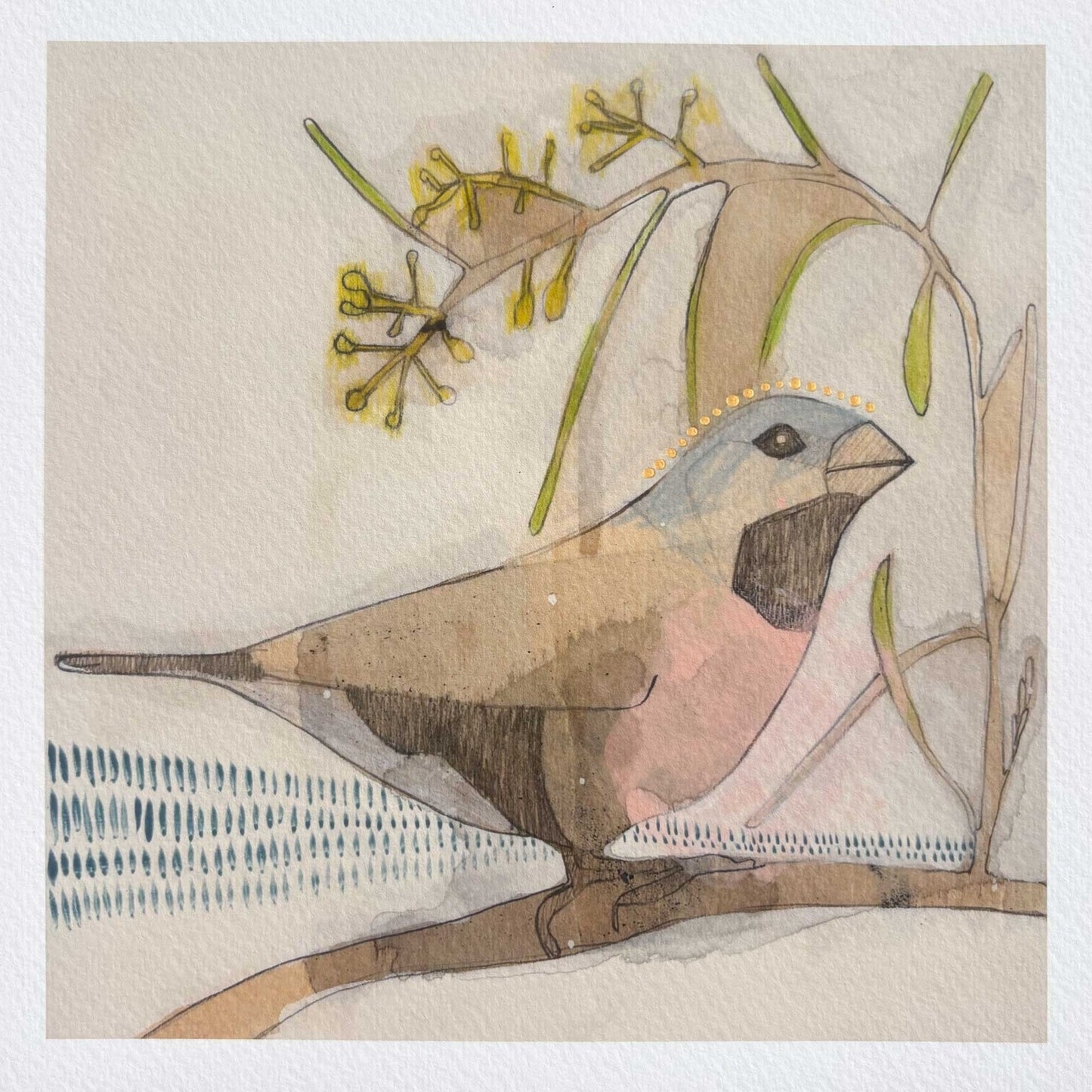 black-throated finch and acacia - mini print