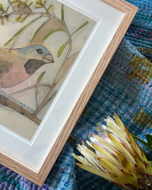 Black-throated finch and acacia framed - mini print - pick up only