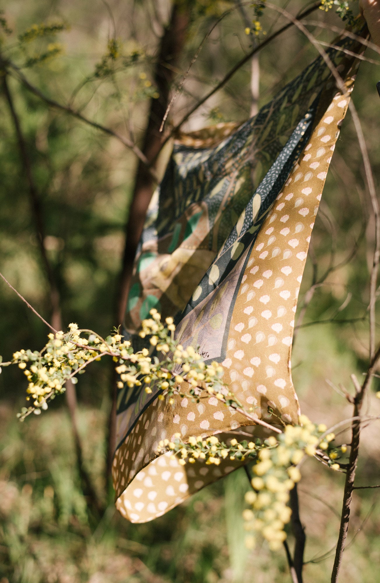 Come With Me Silk Scarf