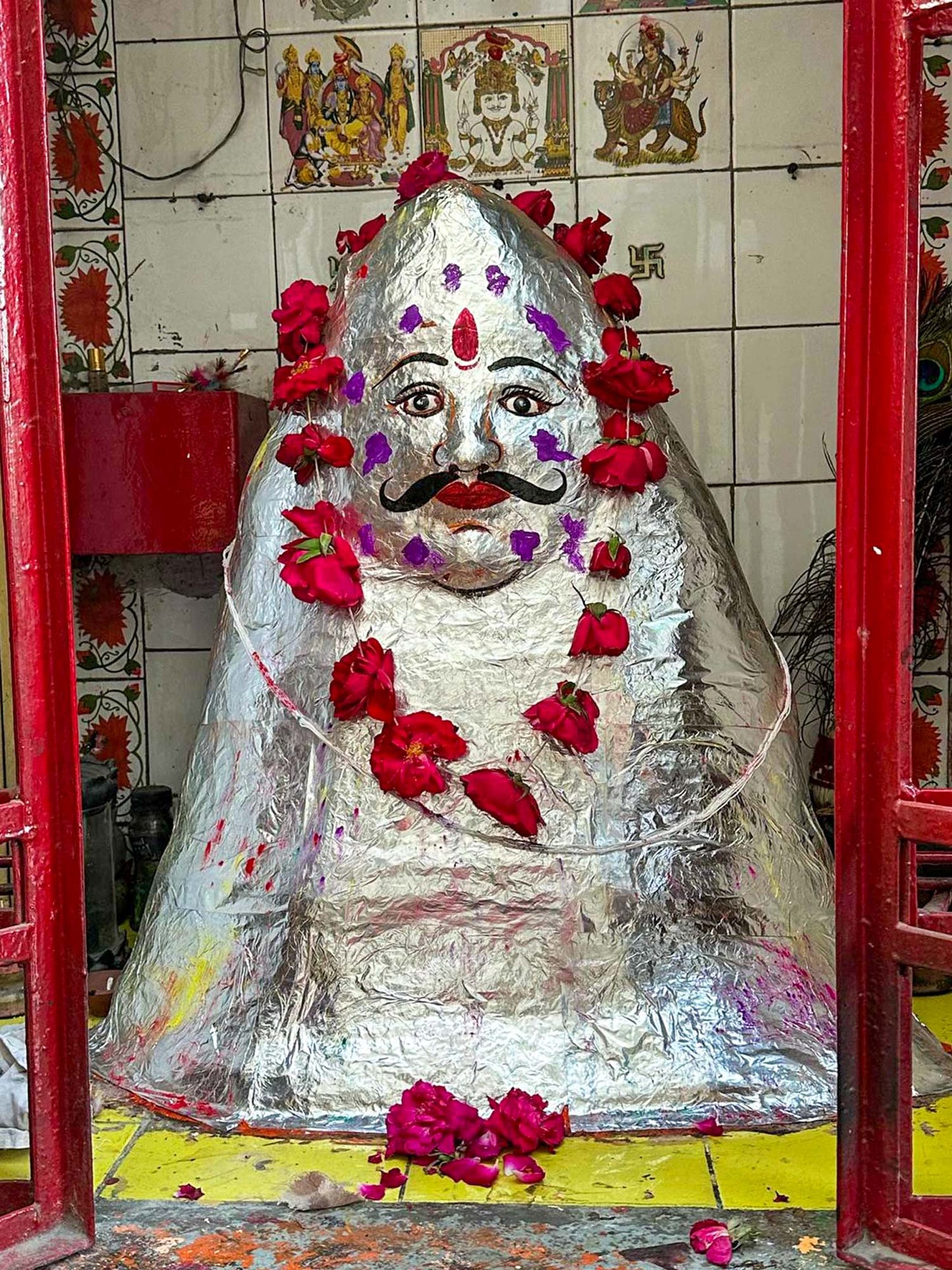 🪷Feb 2026 join me in North INDIA art/culture with Holi🪷