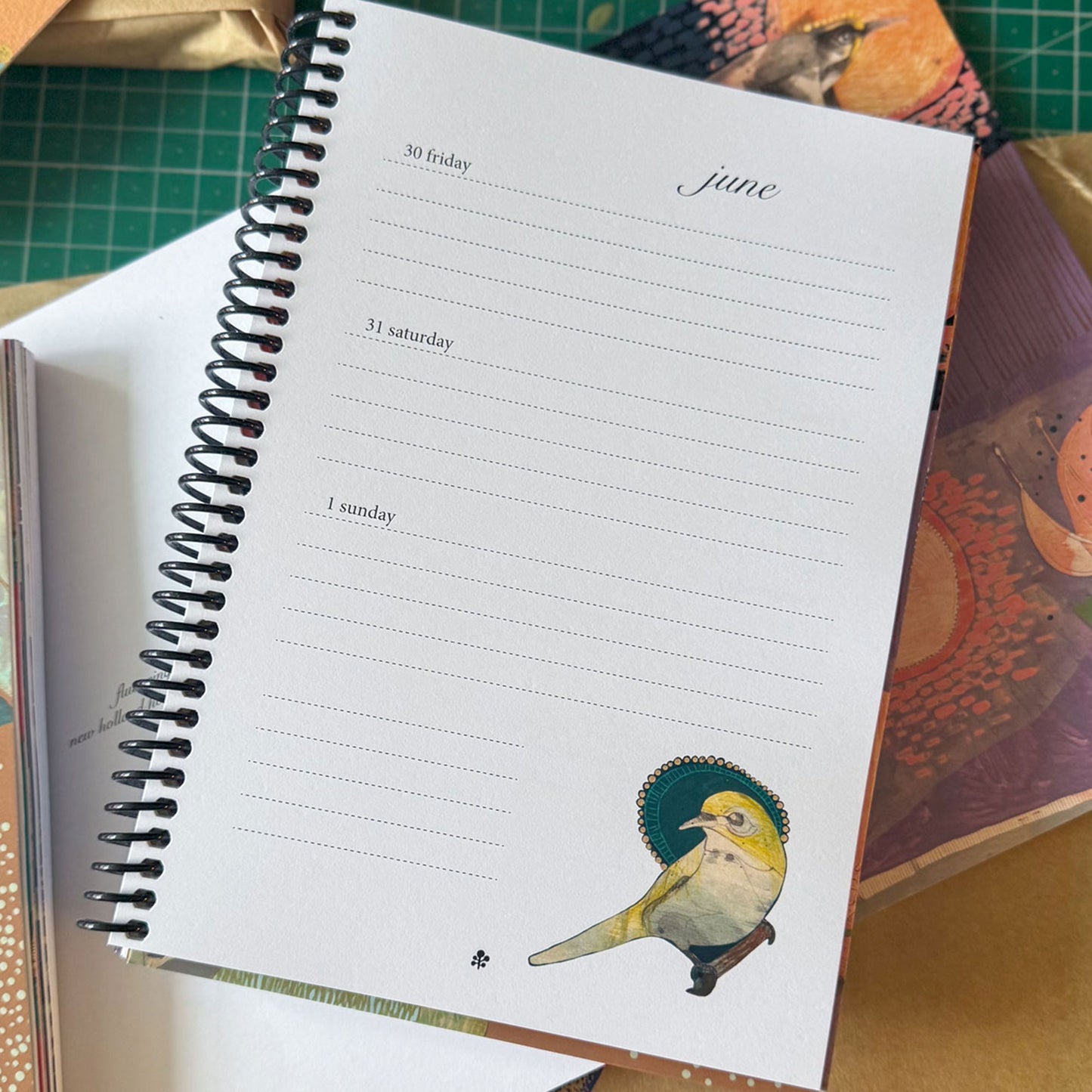 📚 dana kinter planner 2025 red backed finch and eucalyptus