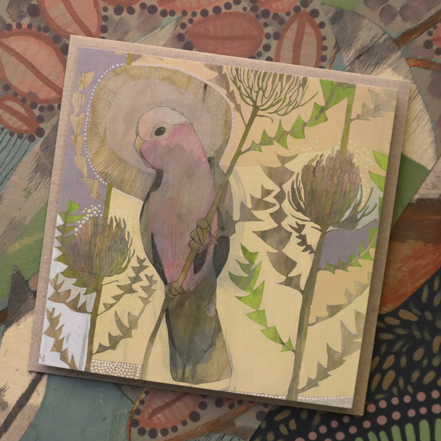 summer | galah and banksia baxteri | card