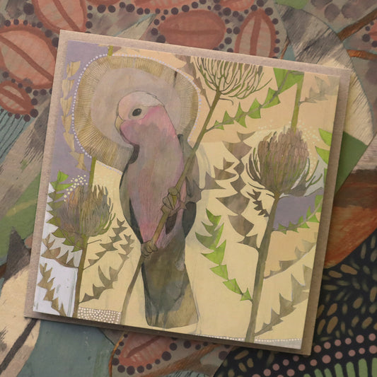 summer, galah and banksia baxteri - card