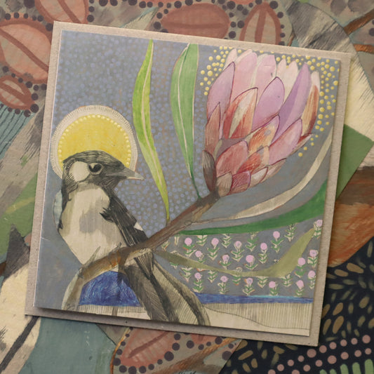 willie wagtail and protea - card