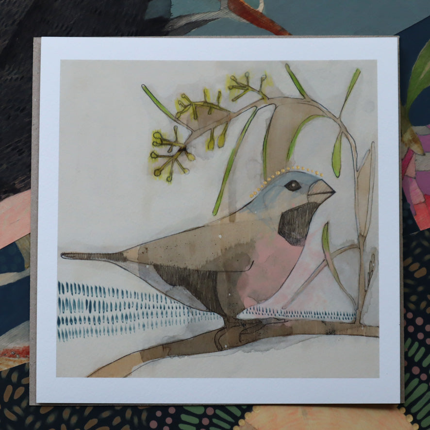 mini | black-throated finch and acacia | print